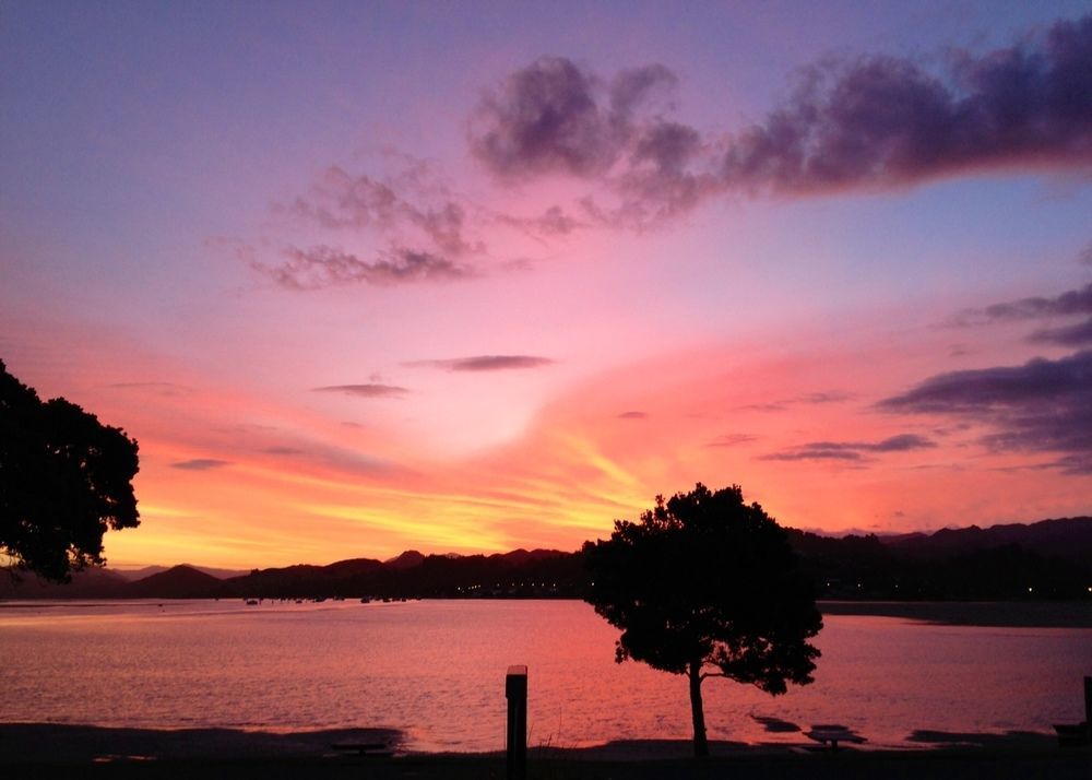 Paku Lodge Resort Tairua Eksteriør bilde